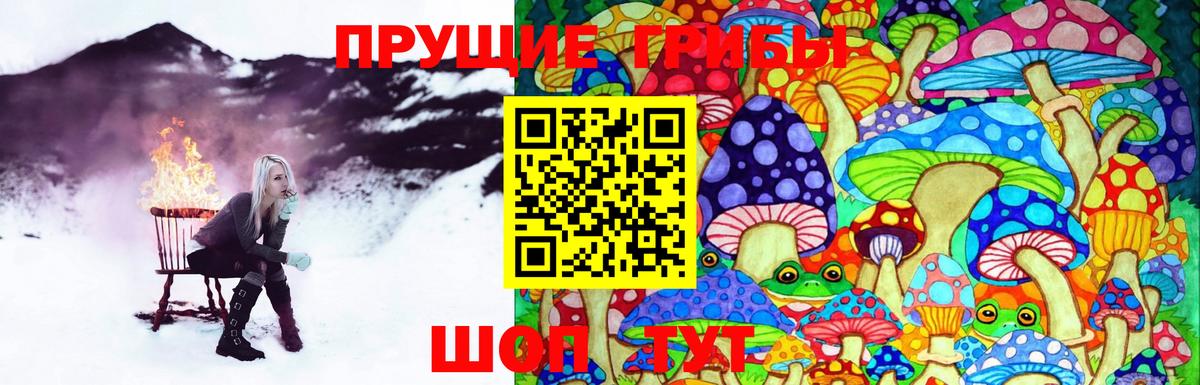 Псилоцибиновые грибы Psilocybe  Вход с VPN  Дивногорск 